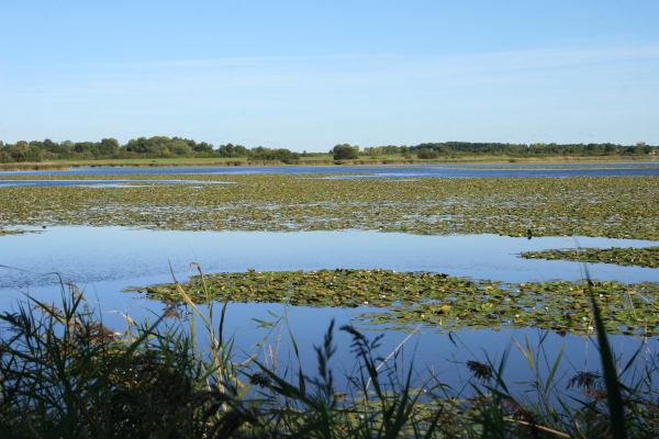 Etang Purais - Brenne &copy; Nicolas Macaire / LPO